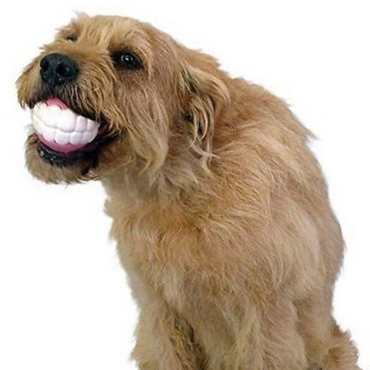 Unleash Happiness: The Best Dog Toys for Endless Tail-Wagging Fun - Thrifty Shop's Top Picks