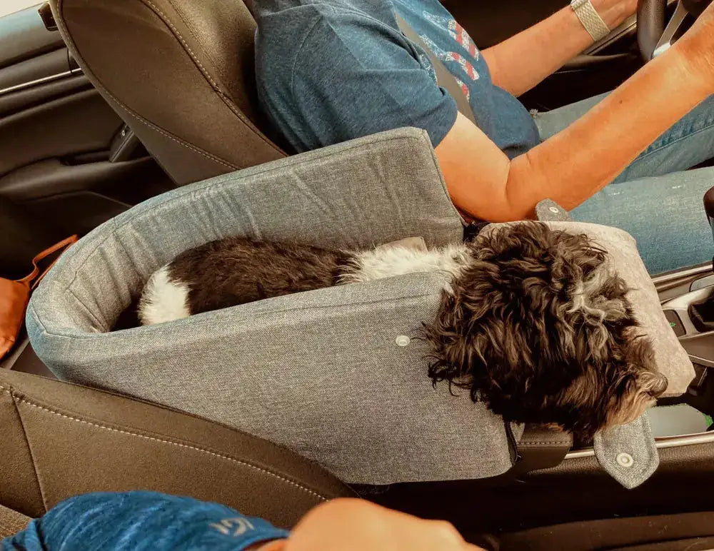 Happy Safety Pet Safety Seat – Thrifty Shop
